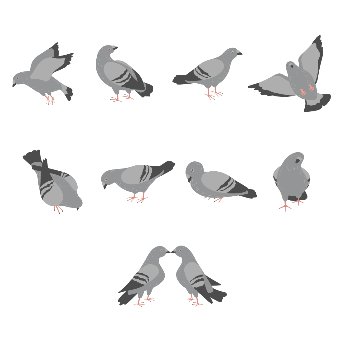 Group of pigeons standing next to each other.