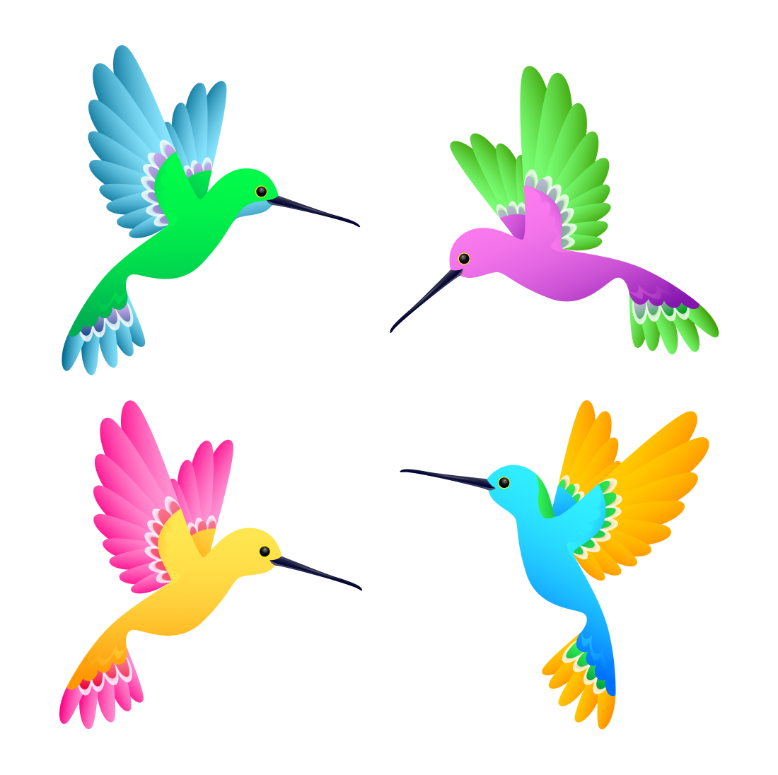 Set of four colorful hummingbirds flying in the air.