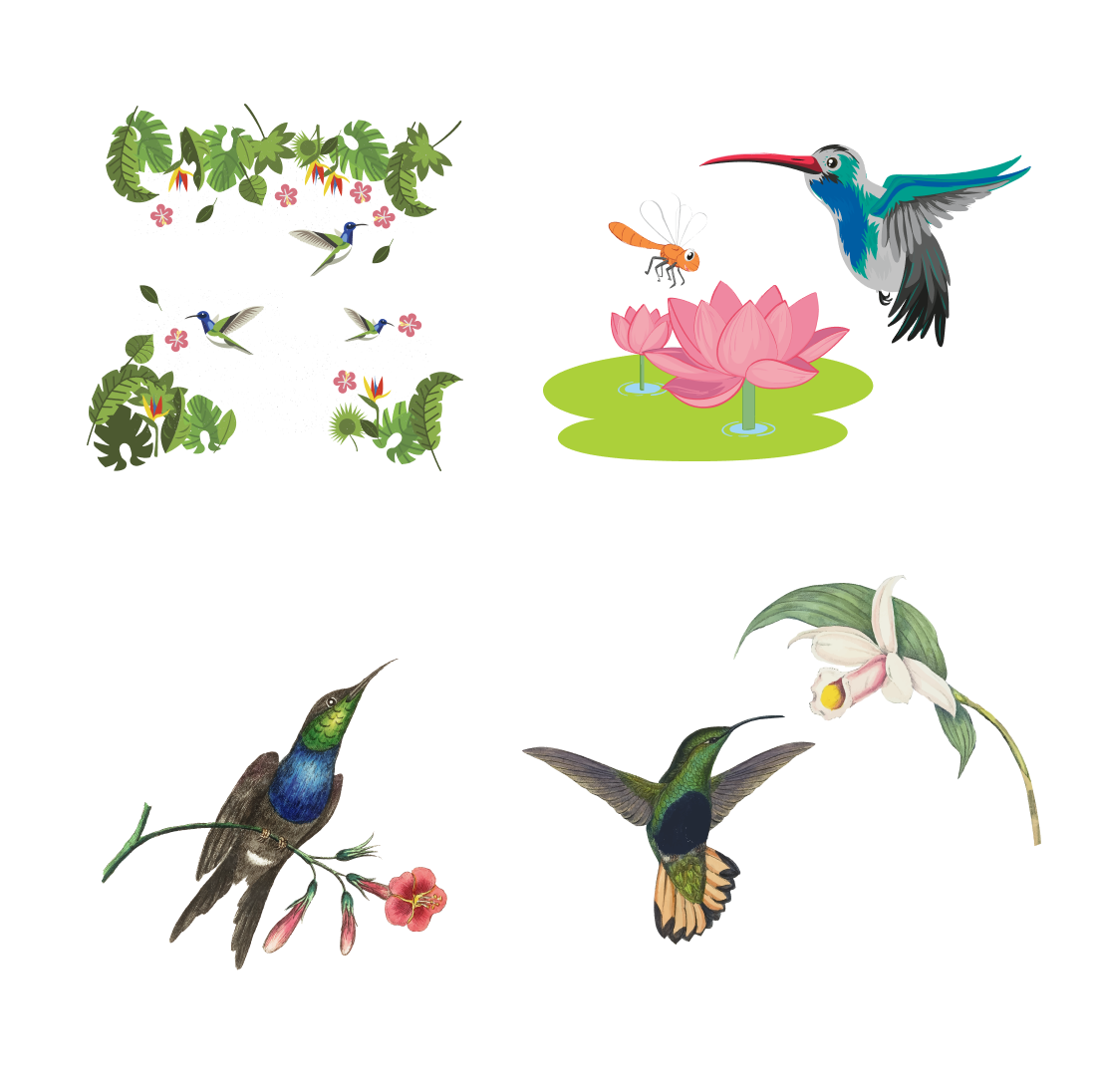 Prints of flower hummingbird svg bundle.