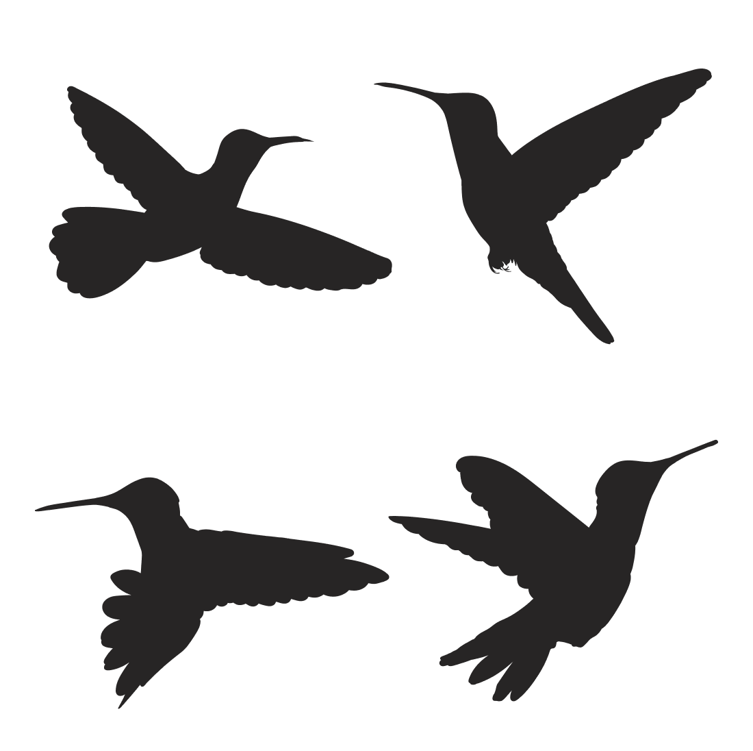 Group of birds flying in the air.