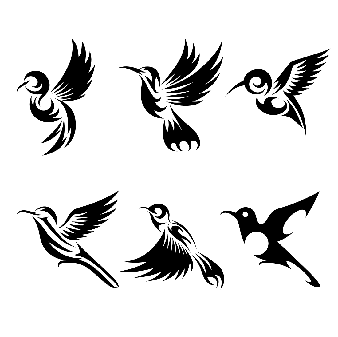 Set of four black and white birds.