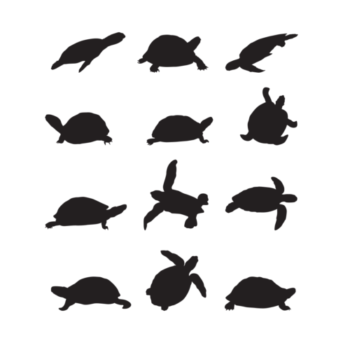 Turtle Silhouette SVG | Master Bundles