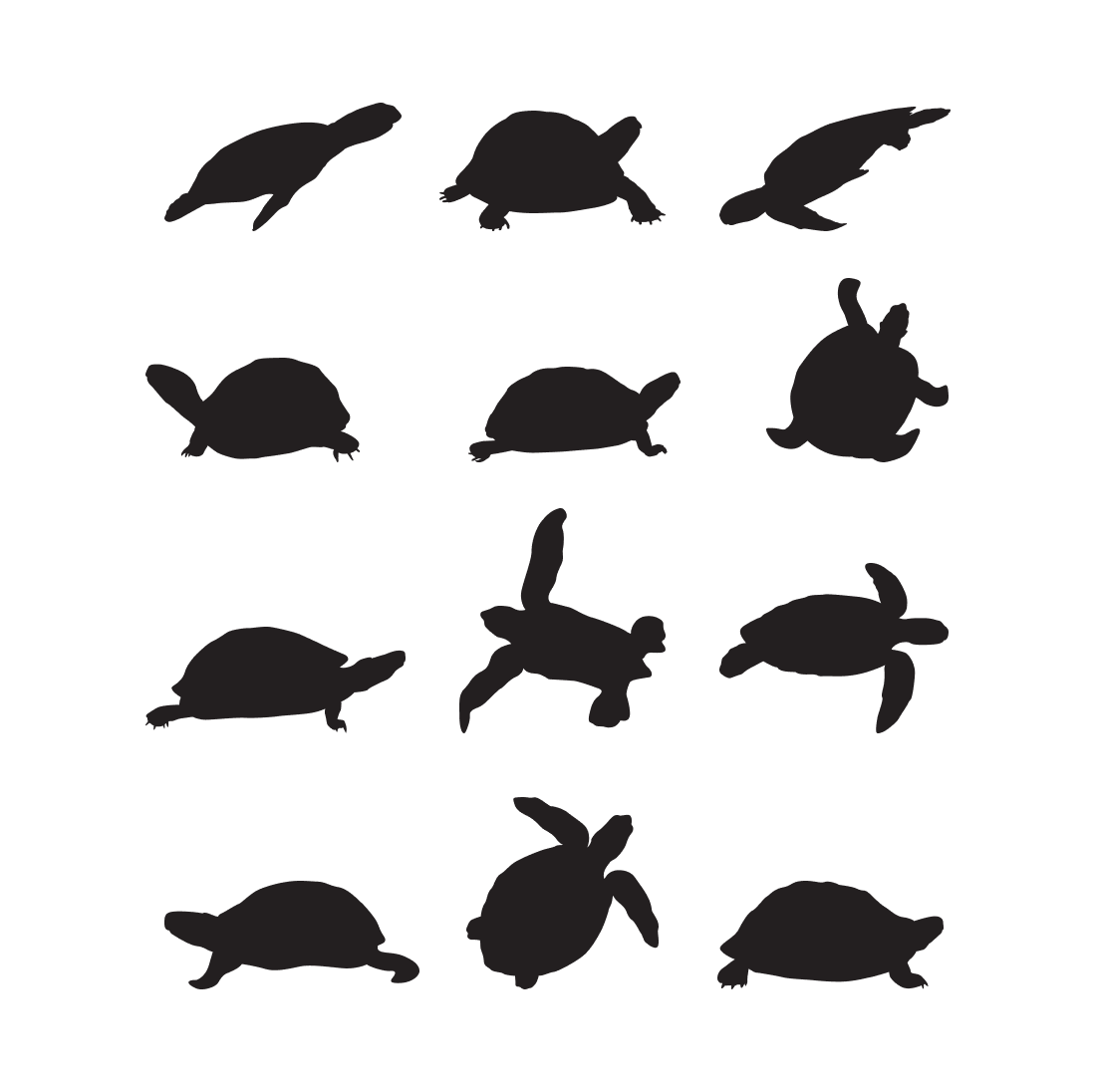 Set of silhouettes of turtles on a white background.