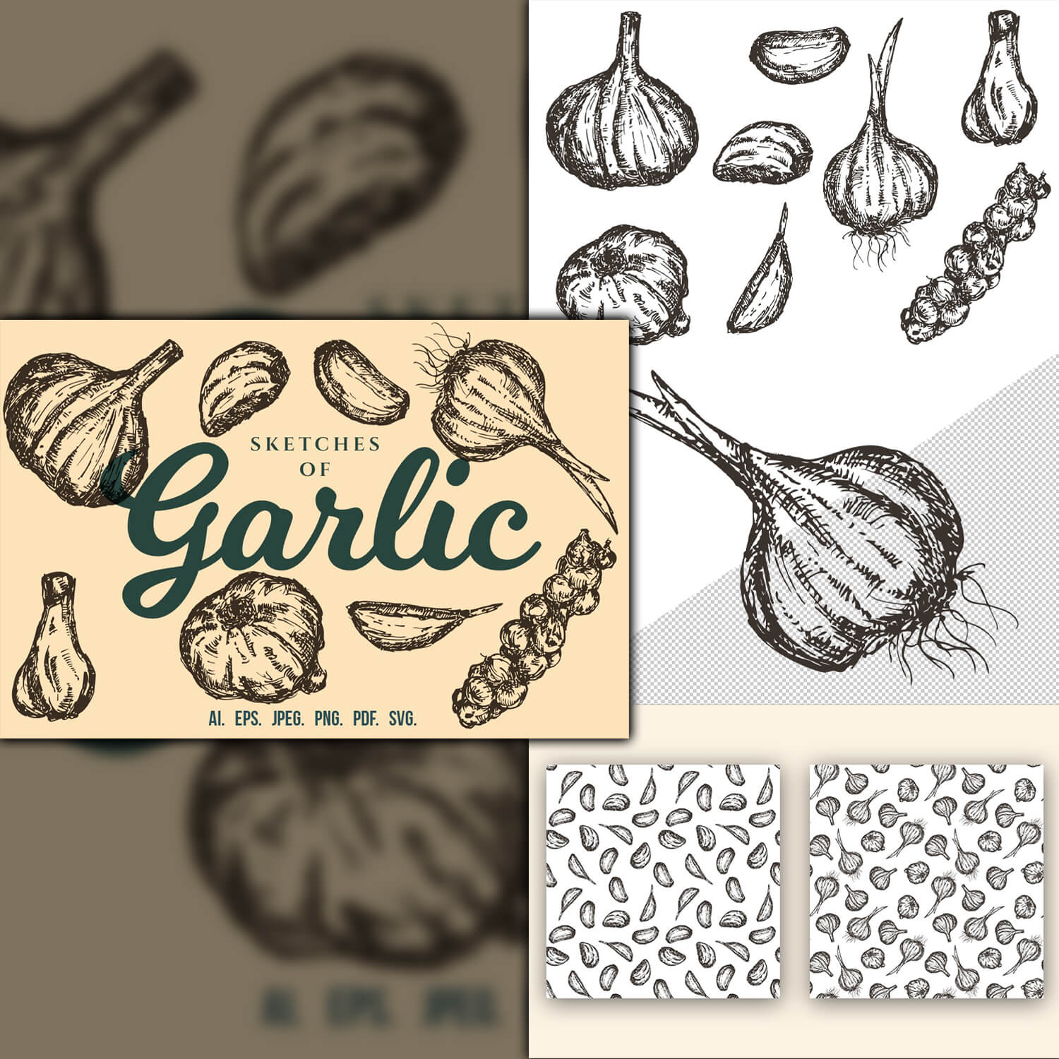Sketches of images of onions and garlic.