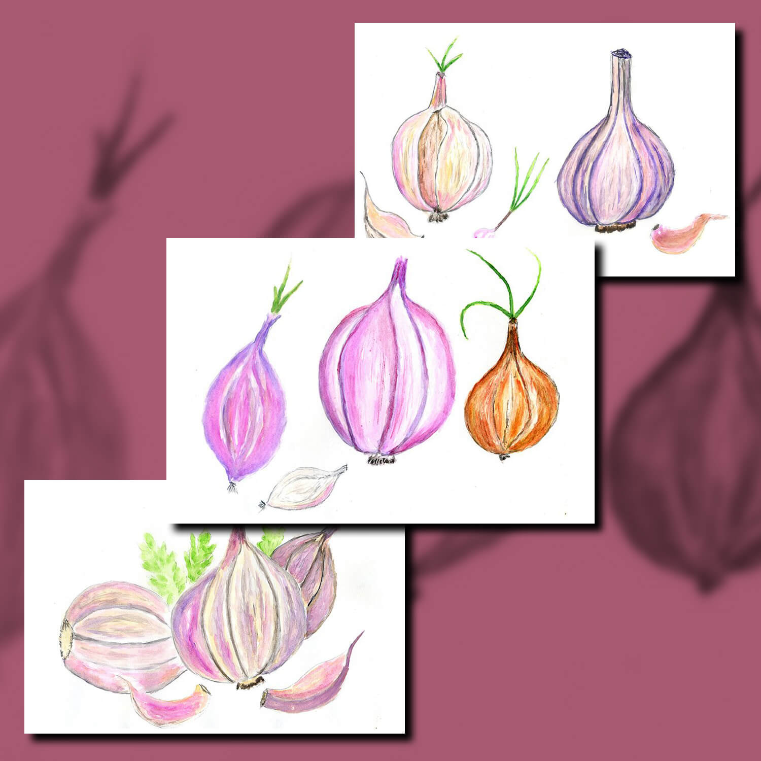 The image of garlic and onion is made with pencils.