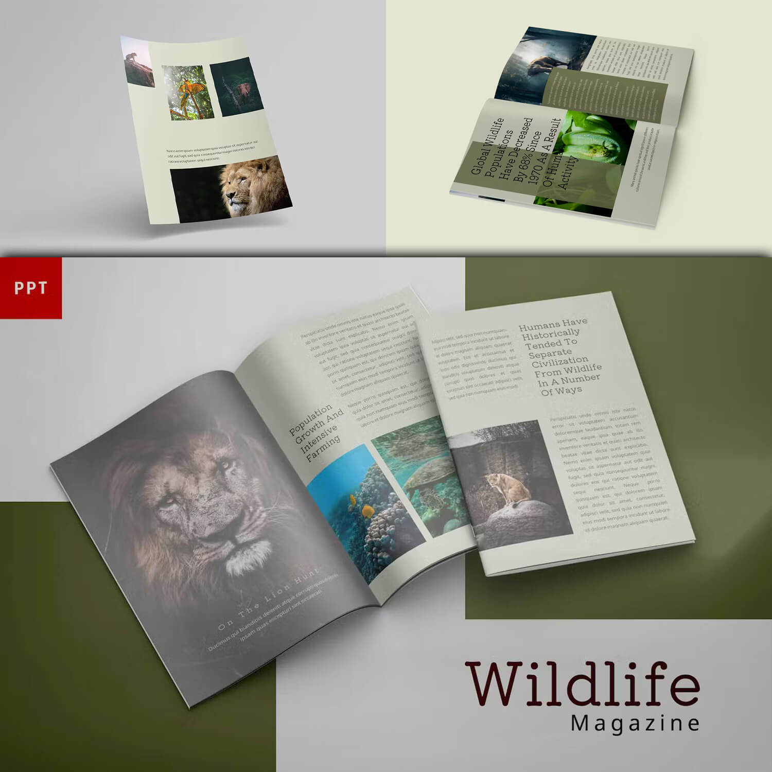 Examples of wildlife magazine articles.