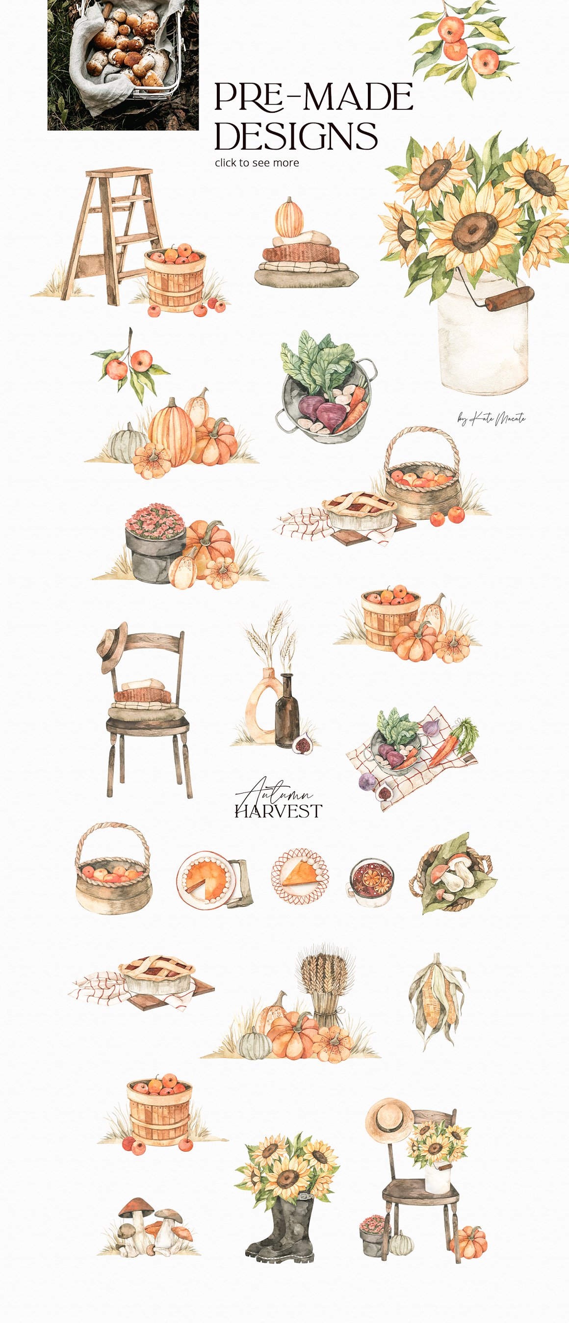 A chair, vegetables, baskets and more.