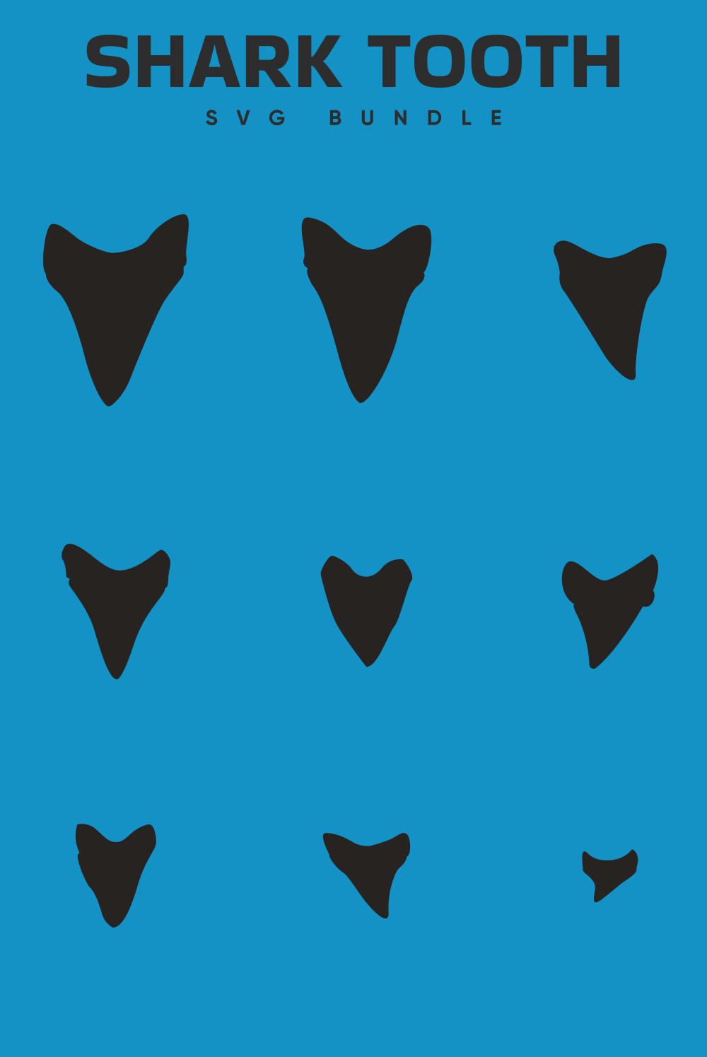Nine black shark teeth from large to small on a blue background with a product title.