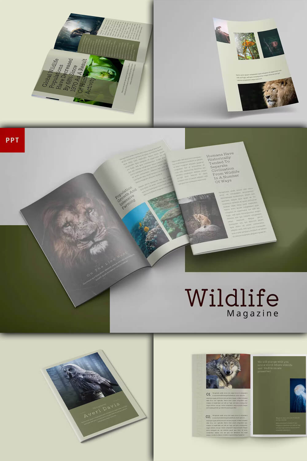 Examples of wildlife photography in a wildlife magazine.