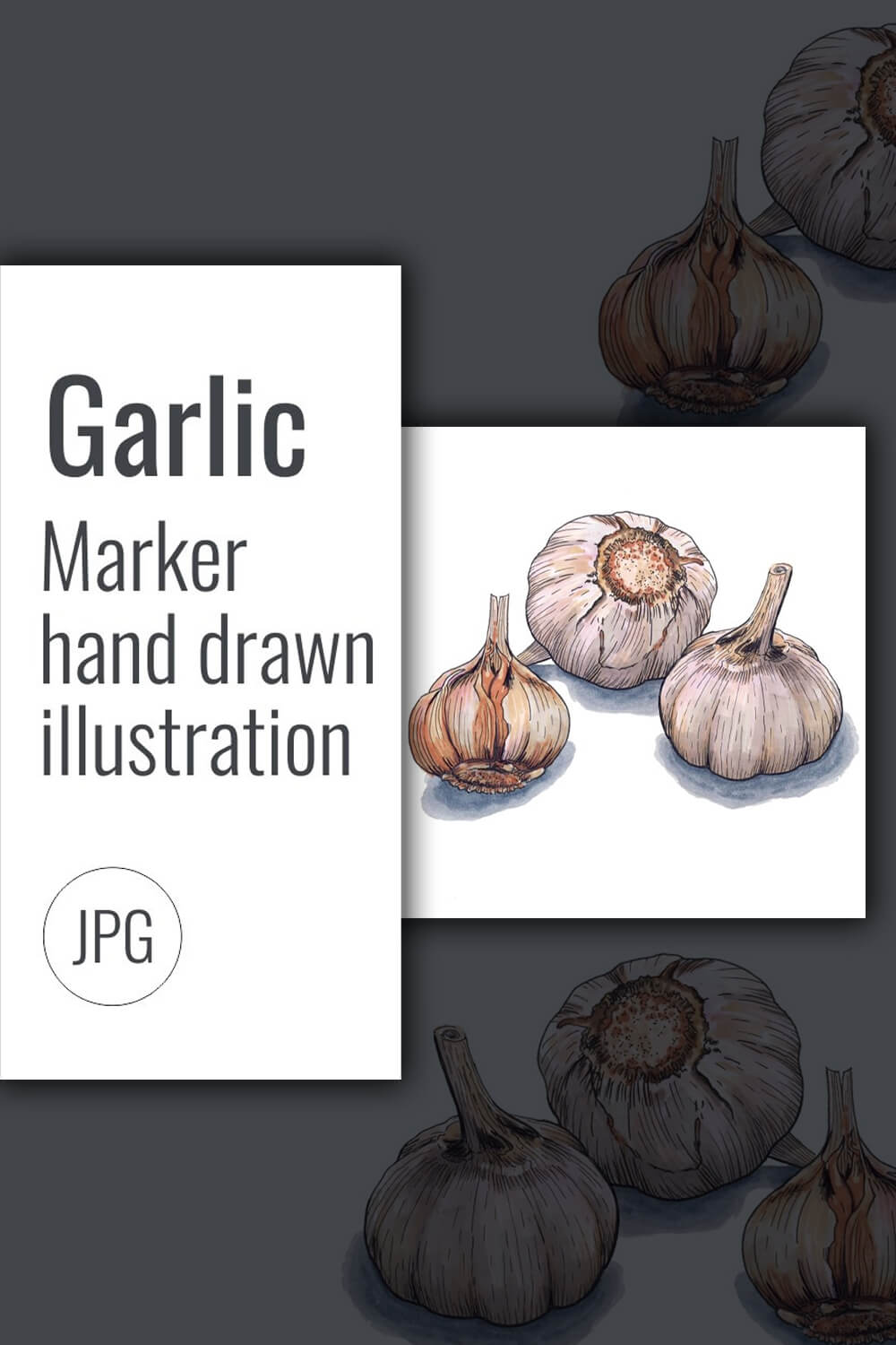 Realistic drawn garlic.