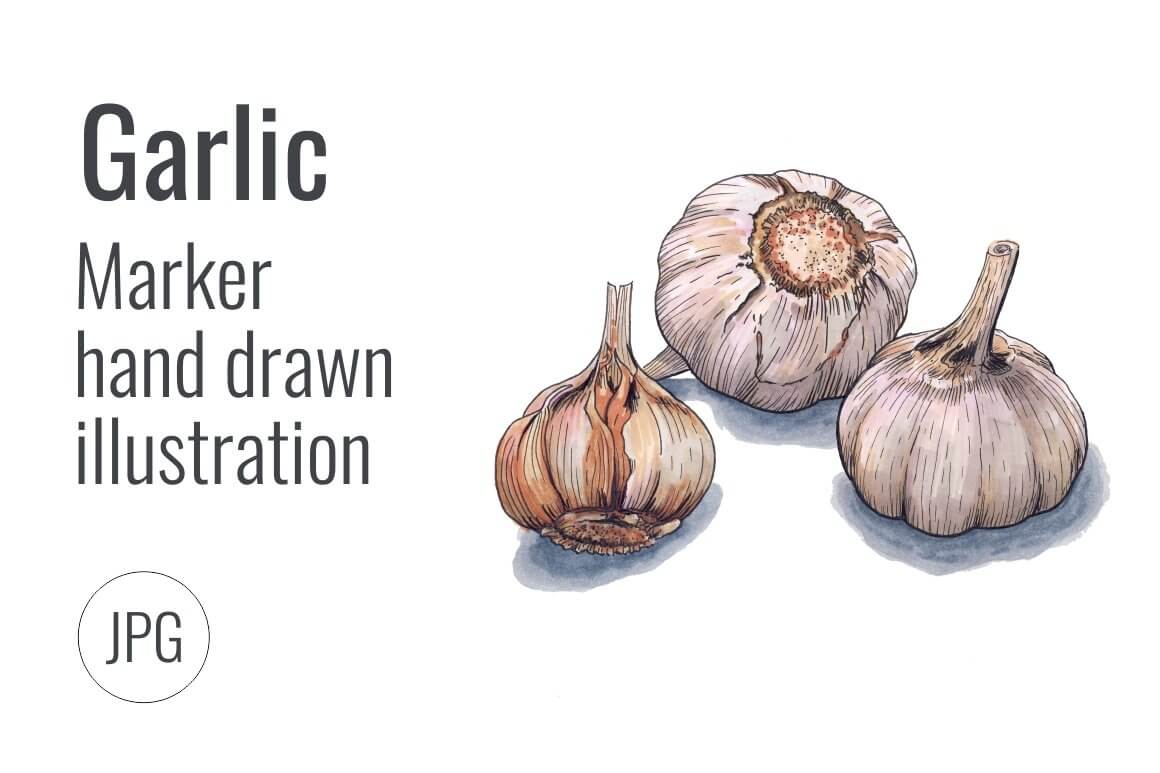 Each garlic is hand-drawn with soul.