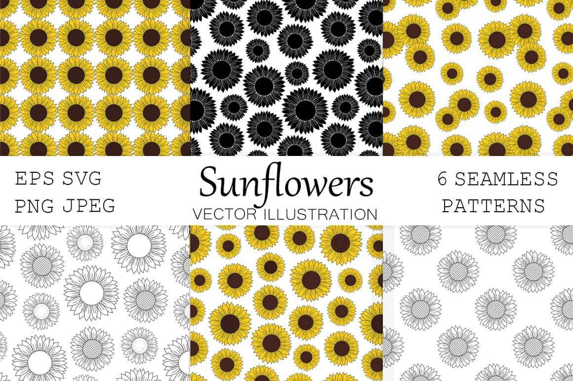 Inscription: Sunflowers vector illustration, 6 seamless patterns.