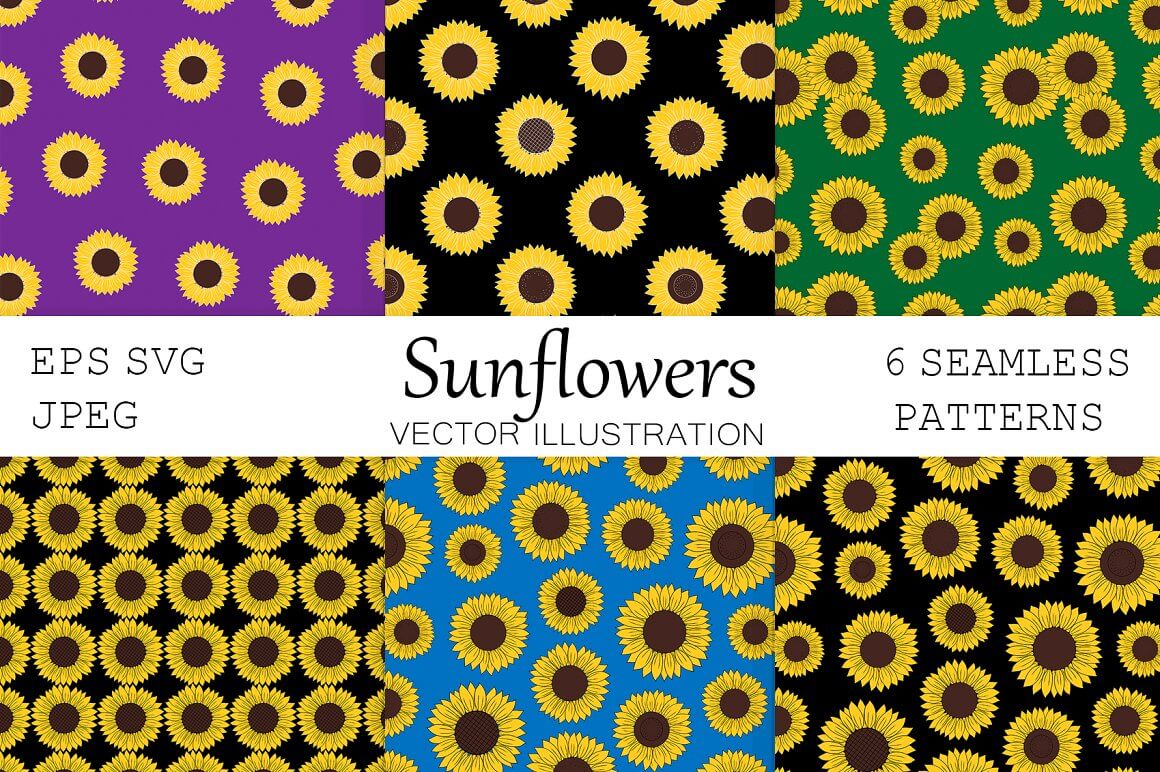 Sunflowers on the black, green and violet backgrounds.