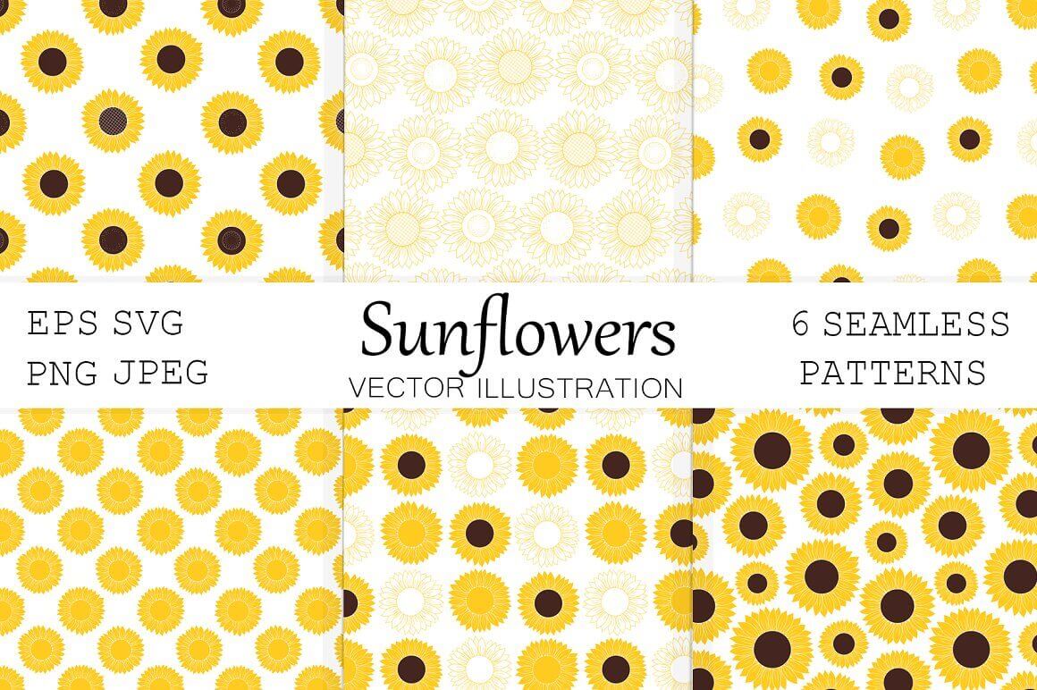 Sunflowers and with yellow, dark and white centers on a white background.