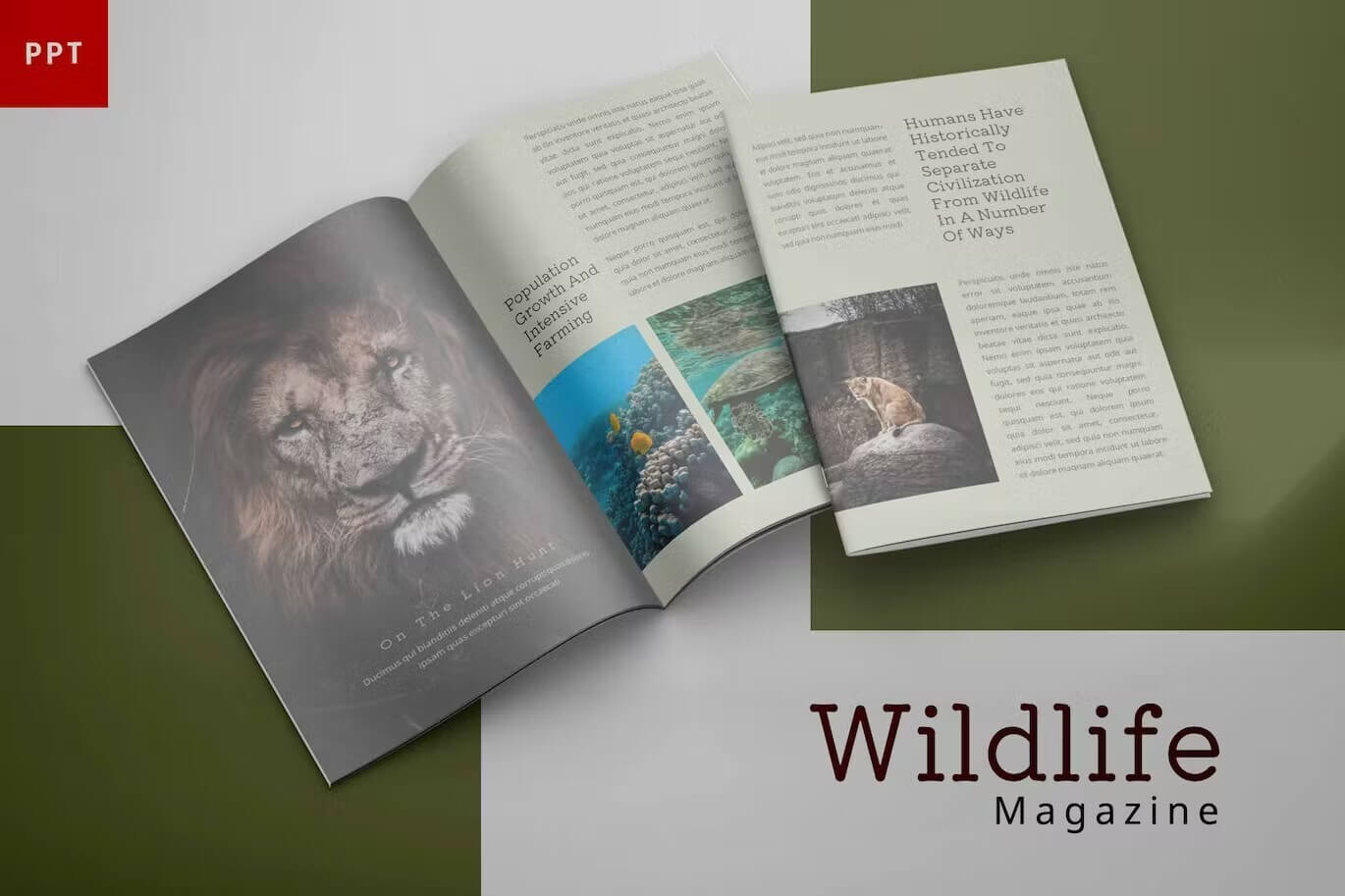 Wildlife magazine on the grey and green backgrounds.