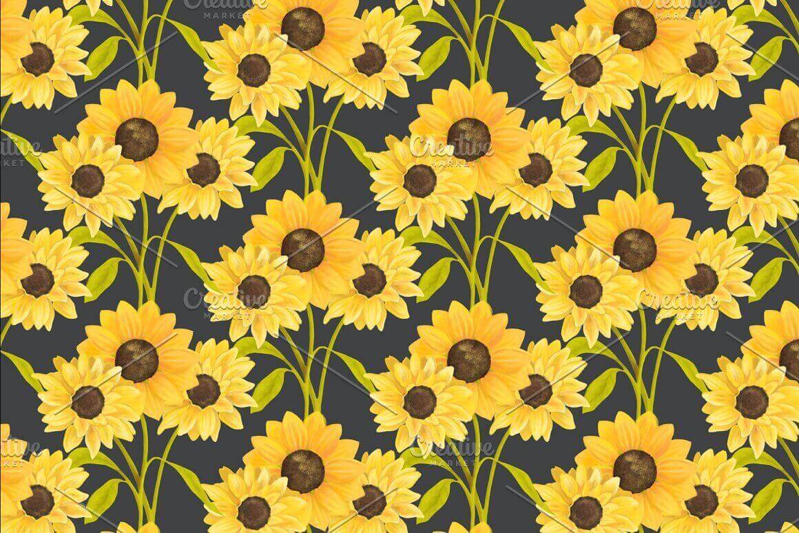 Image of bright yellow sunflowers on a black background.