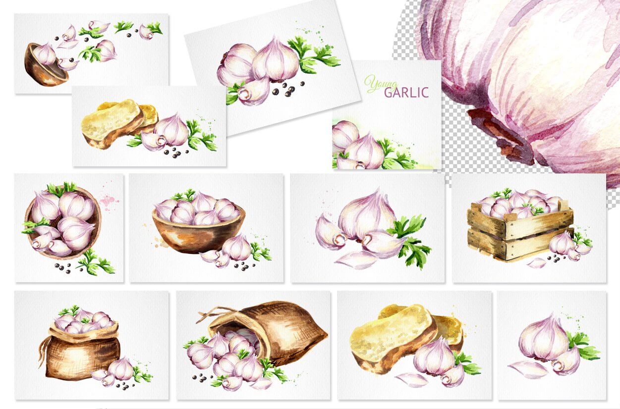 Many cards with pictures of garlic on a light background.