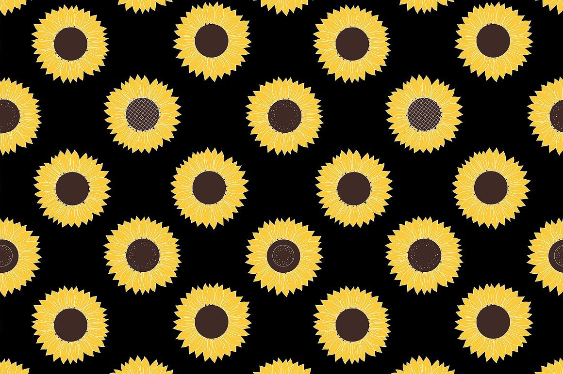 Big sunflowers on the black background.