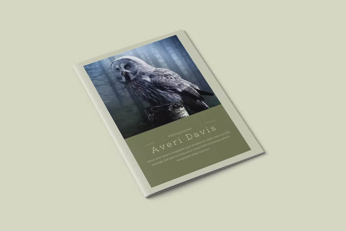 One page of a magazine with an image an owl and an inscription "Photographer Averi Davis".