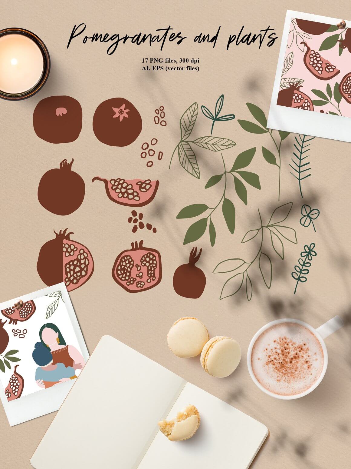 Sketches of modern images of pomegranates with seeds and plants.
