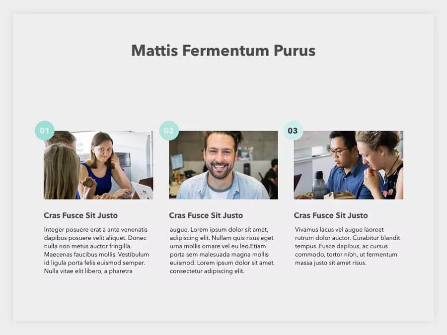 Inscription "Mattis Fermentum Purus" of Sales Pitch PowerPoint Template.