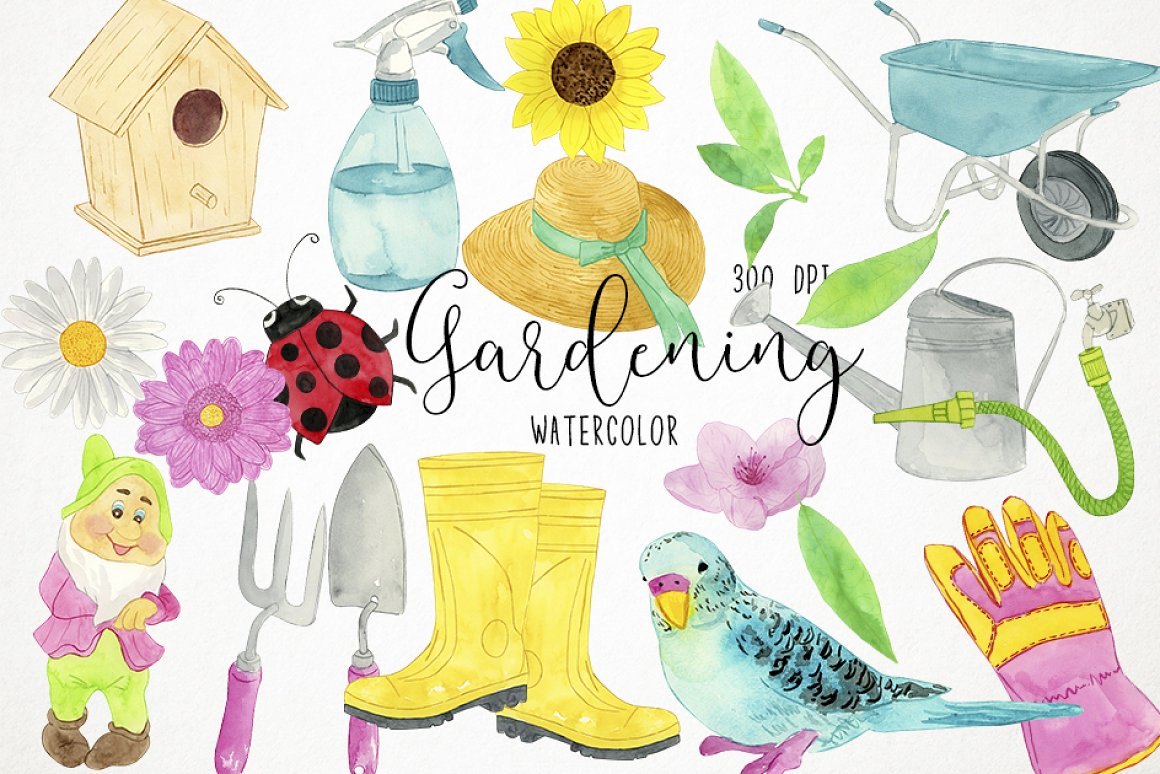 Header image on the theme of the garden.