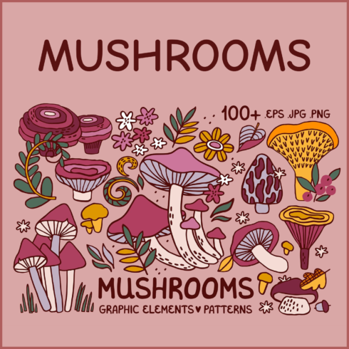 Preview mushrooms graphics set.