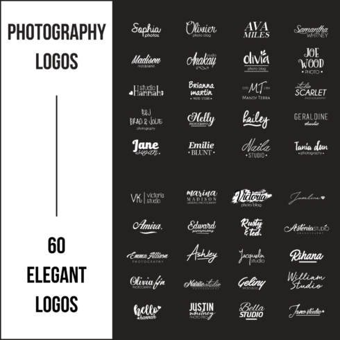 Image preview photography logos.