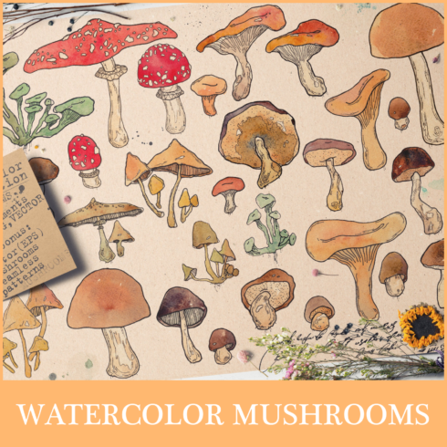 Prints of watercolor mushrooms set.