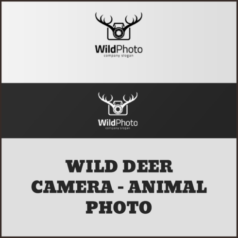 Preview wild deer camera animal photo.