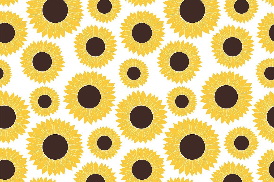 Large, medium and small sunflowers on a white background.