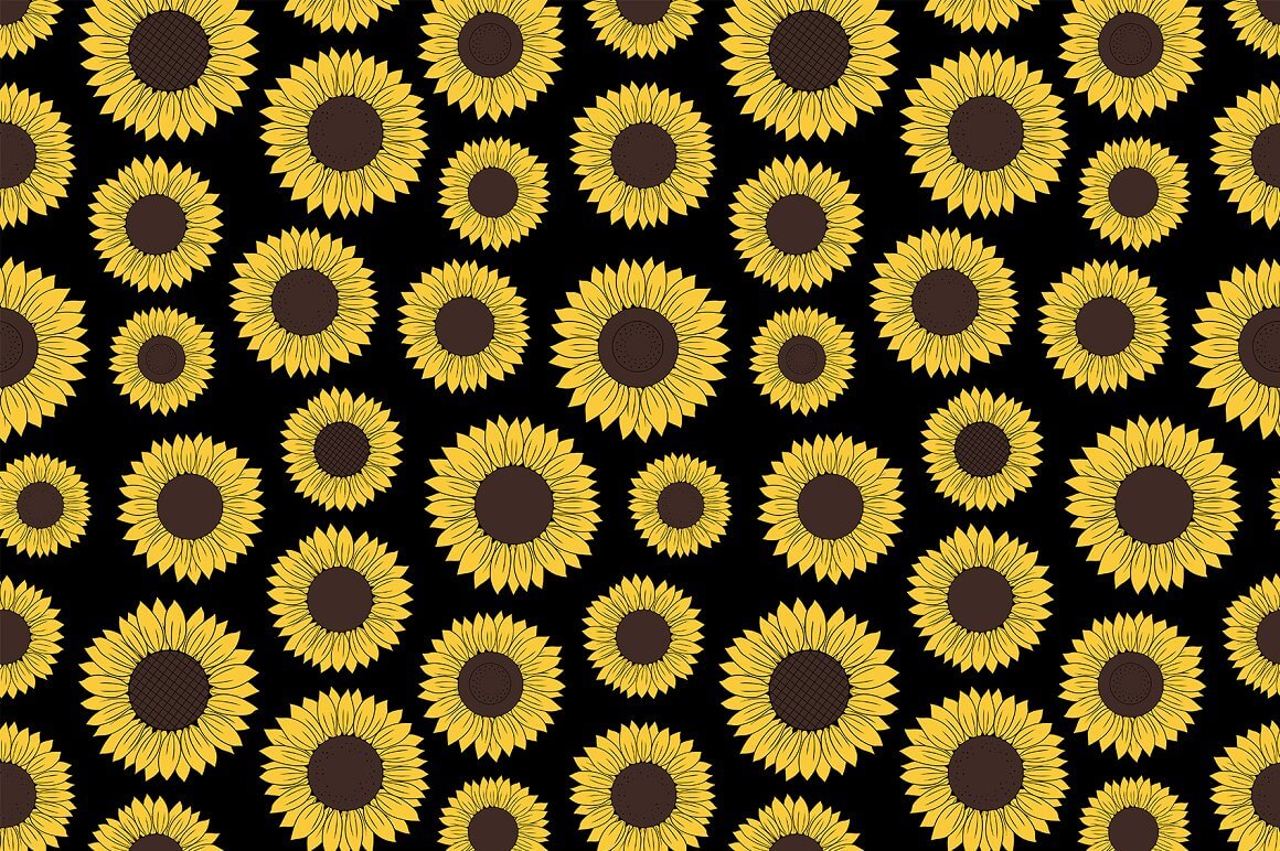 Small and big sunflowers on the black background.