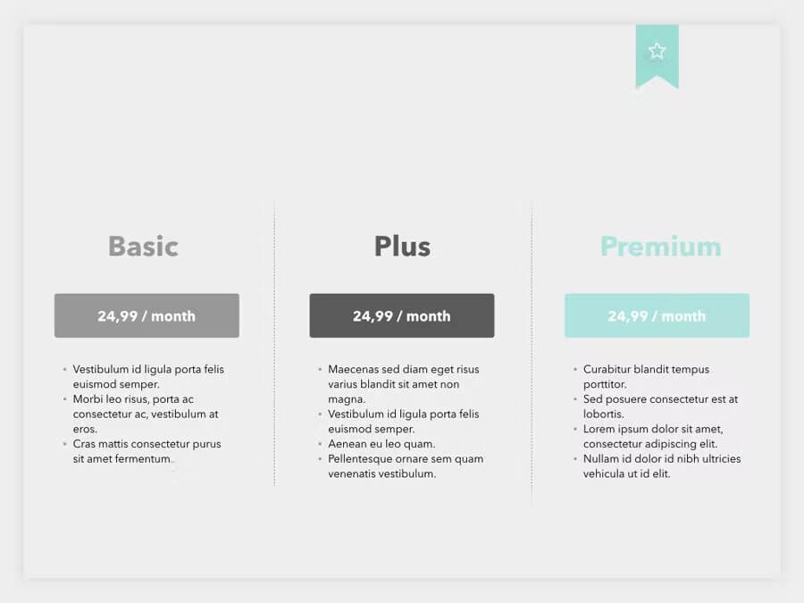 Basic, Plus and Premium Program of Sales Pitch PowerPoint Template.