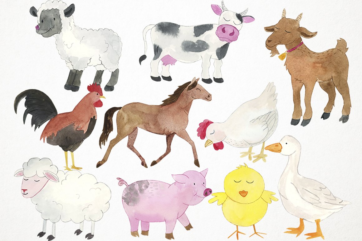 Cow, chicken and other animals.