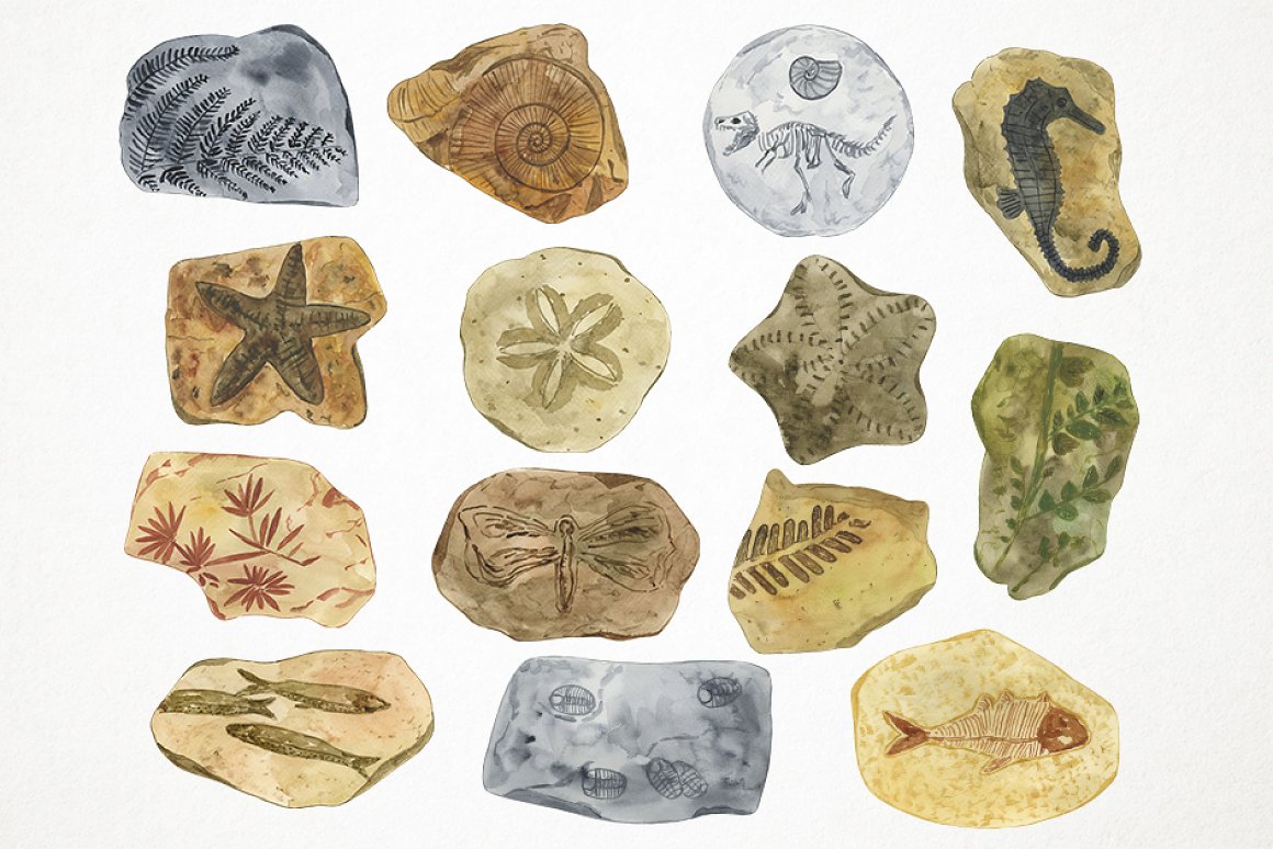 Many different Stones with the image of a dark star, a grasshopper and a niche.