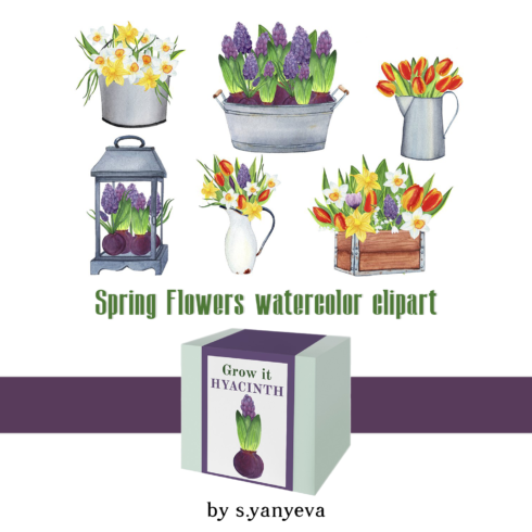 Prints of spring flowers watercolor clipart.