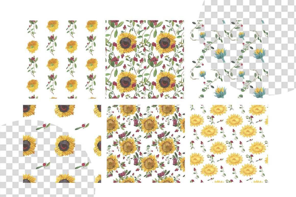 Sunflowers combined with small flowers on white and transparent backgrounds.