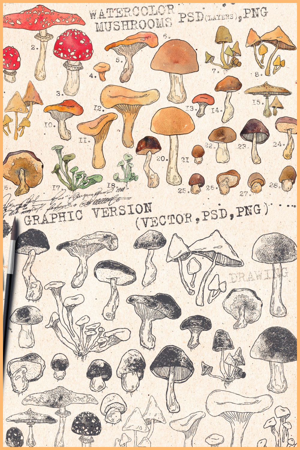 Watercolor mushrooms set of pinterest.