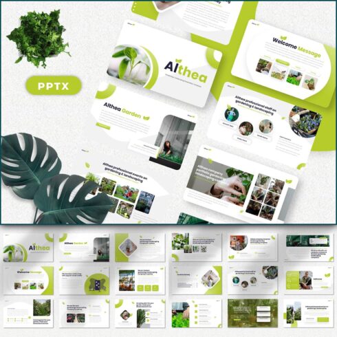 Althea - Gardening PowerPoint cover image.