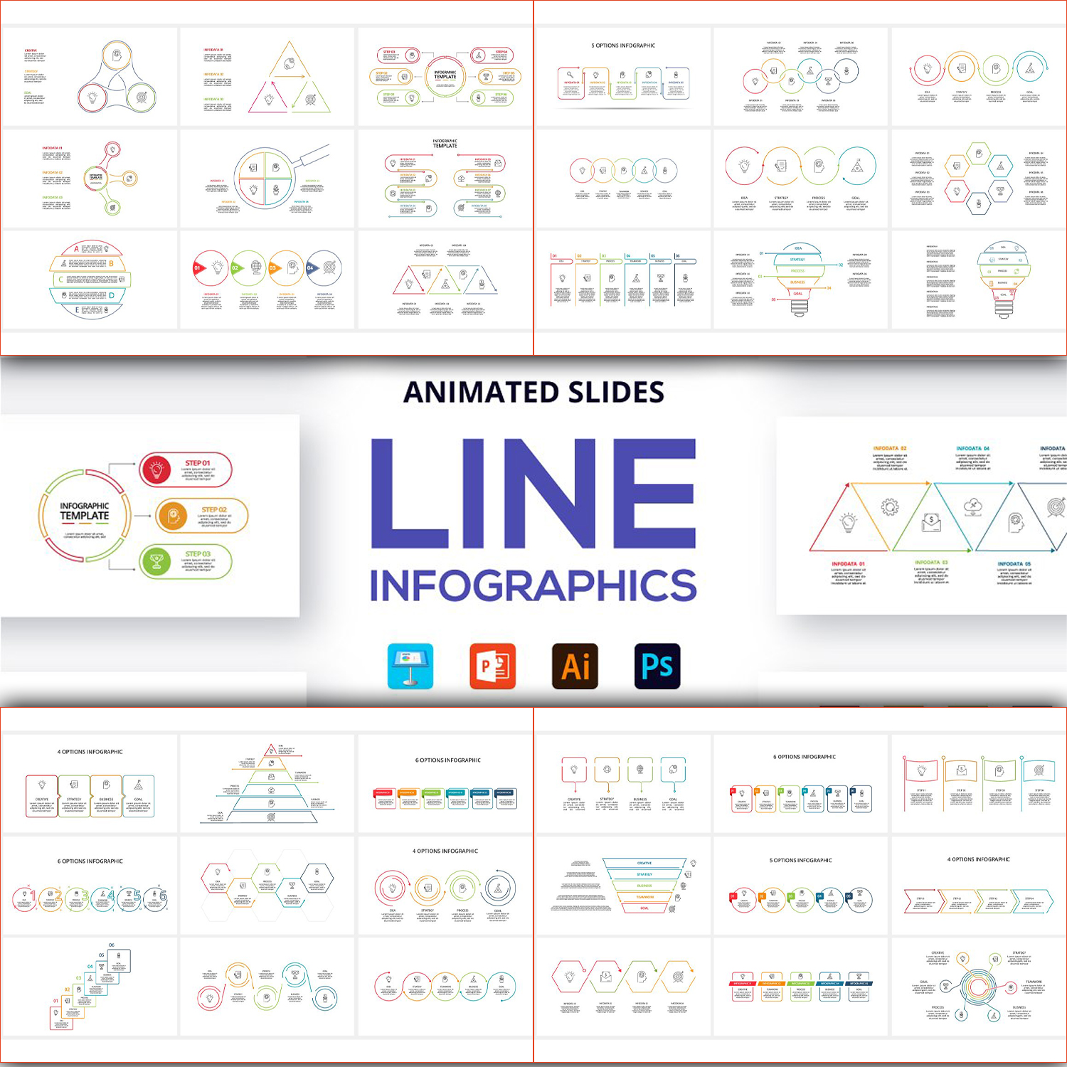 Line animated infographics preview.