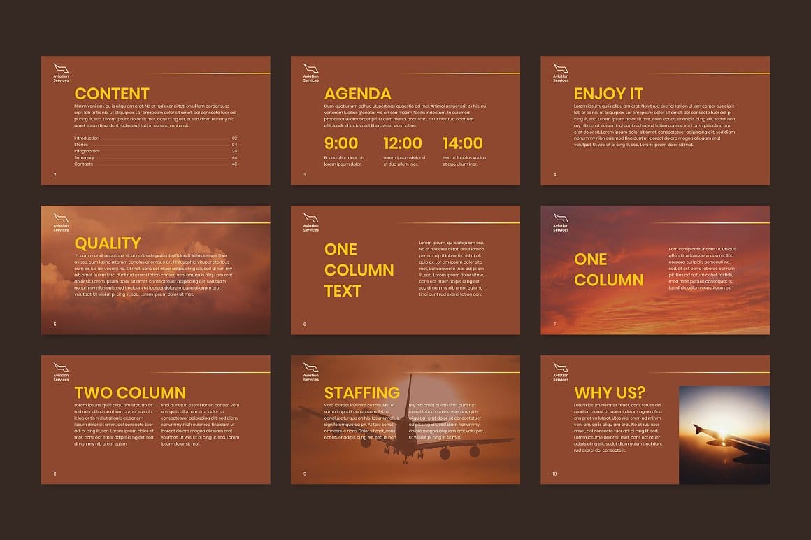 Airlines Aviation Services Powerpoint Presentation Template Preview 6.