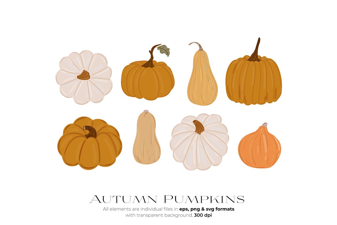 Various pumpkins by type and shape.