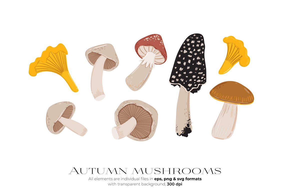 Different types of mushrooms.