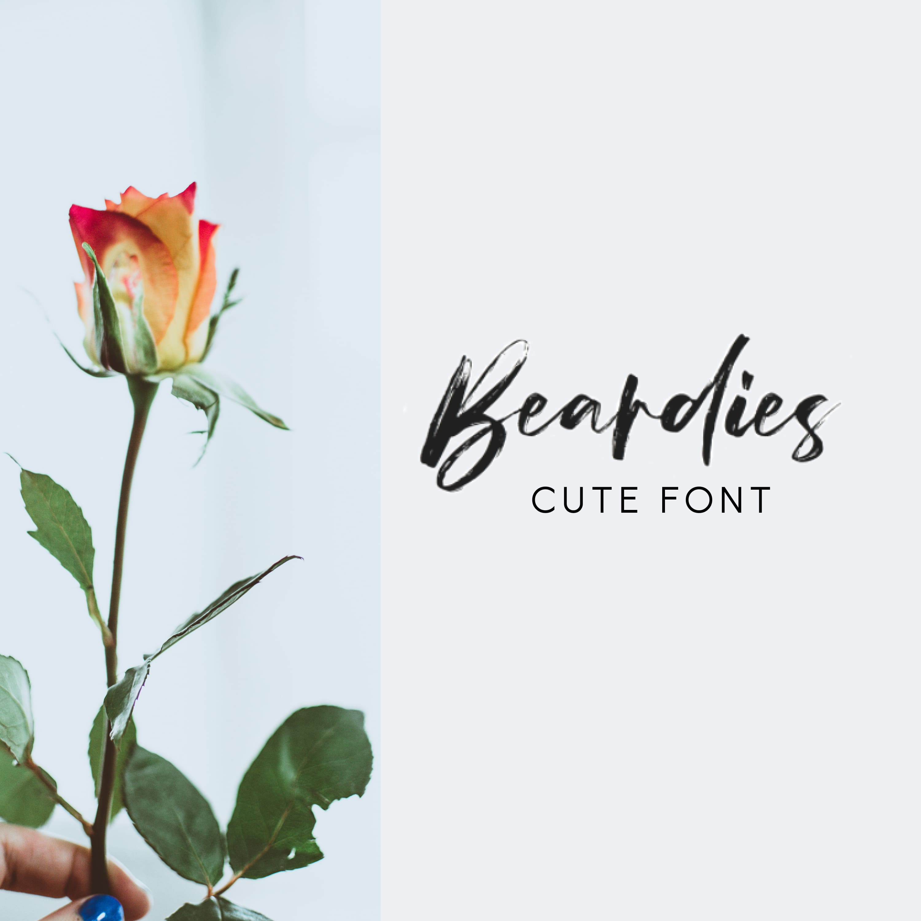 Beardies Cute SVG Font 1500x1500 1.