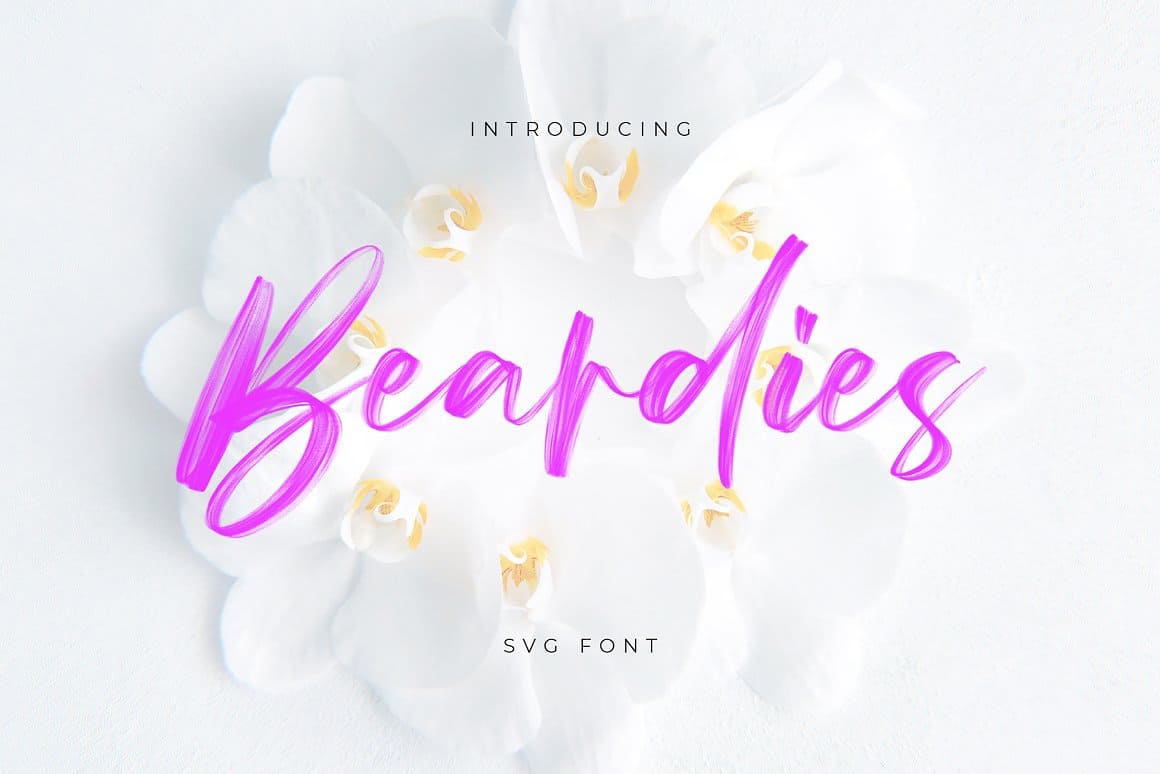 Beardies Cute SVG Font Preview 1.