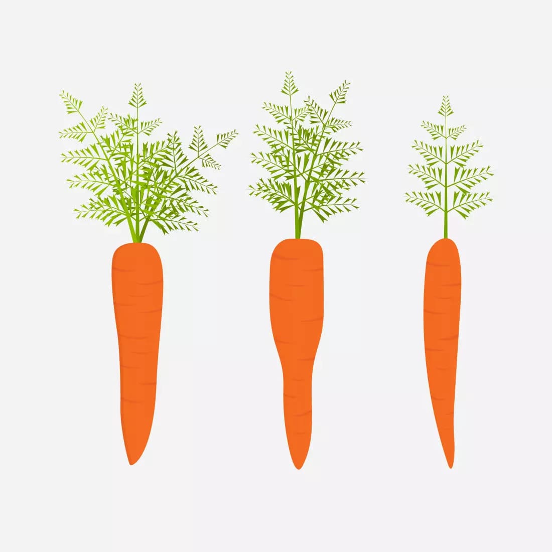 Carrot SVG Bundle Preview 2.
