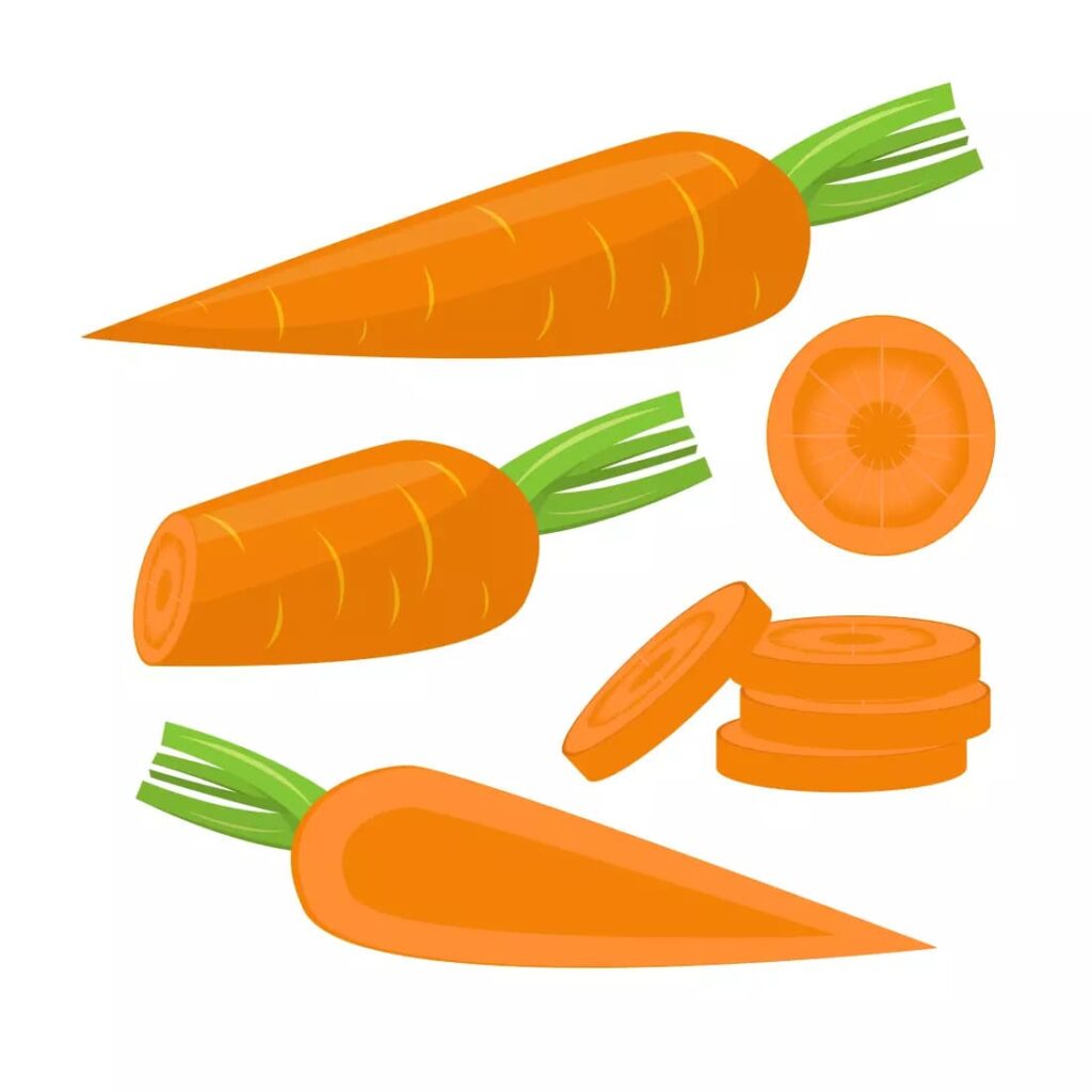 Jumbo Carrot SVG Bundle – MasterBundles