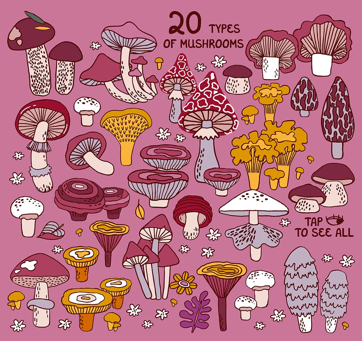 Mushrooms with a pink background.