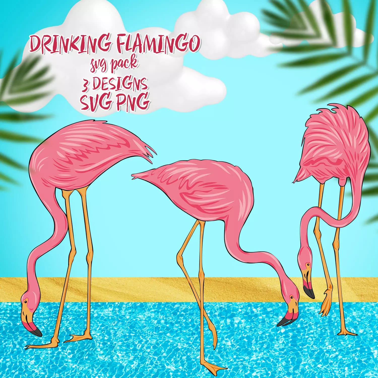 Couple of pink flamingos standing on top of a beach.