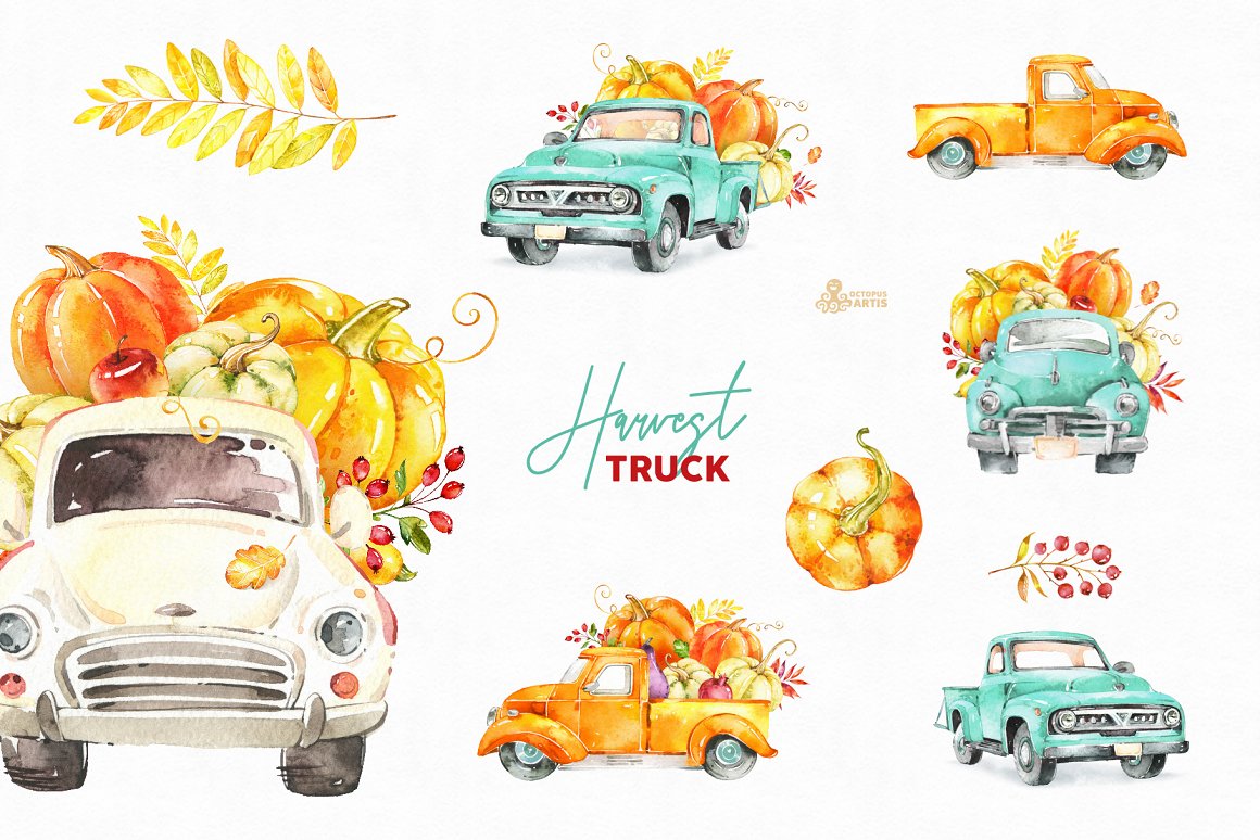 Cars with pumpkins and pumpkins on the autumn theme.